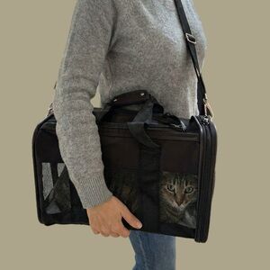 Black Pet small Carrier for Dogs